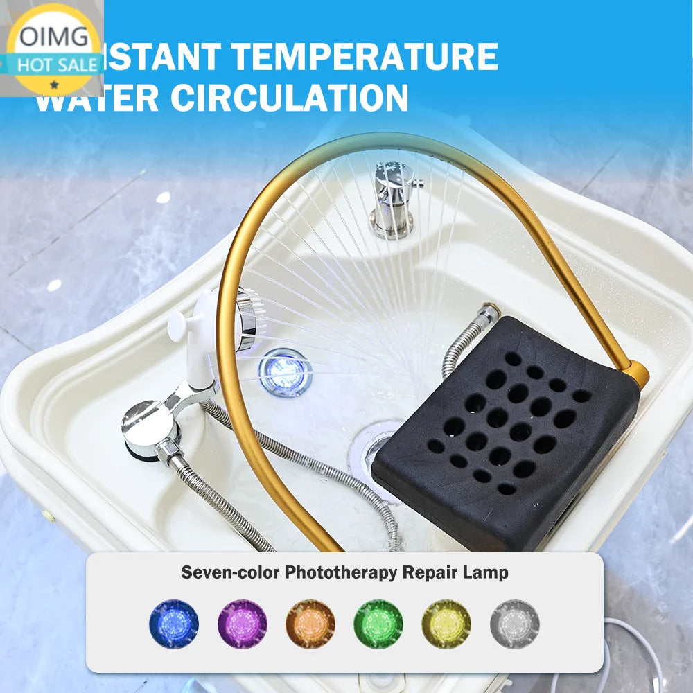 No Plumbing Head Spa Basin Portable Mobile Shampoo Basin Hair Washing Sink with 30L Waste Water Bucket 60L Water Tank Heater